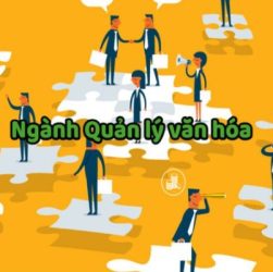 Ngành Quản lý văn hóa là gì? Cơ hội việc làm của ngành Quản lý văn hóa