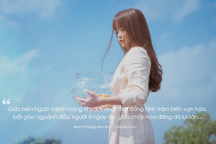 Quotes-ngon-tinh-tinh-cam