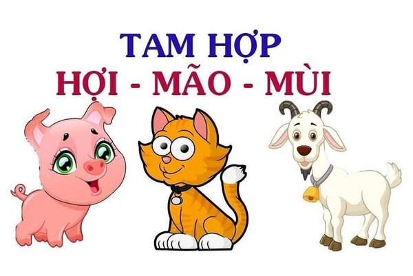 Bộ tam hợp: Hợi - Mão - Mùi