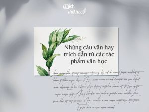 Những câu nói hay về văn học